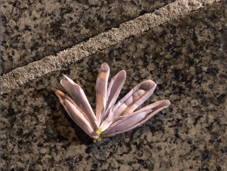 chaos magic pt.&nbsp;ii